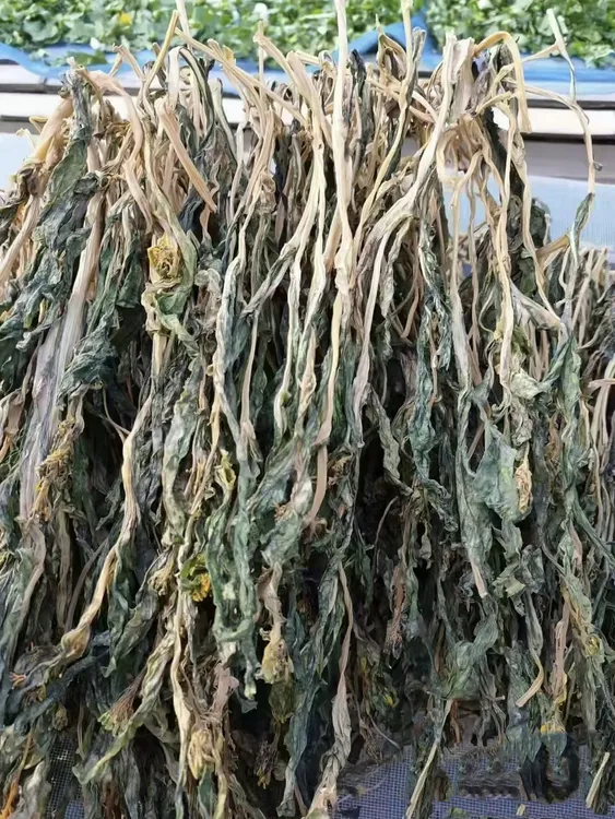 惠惠家贵州干酸菜农村特产农产品酸汤酸菜干青菜农副产品贵州黔南