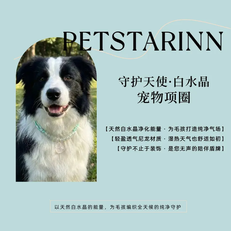 白水晶宠物项圈 净化 增强免疫力 猫狗通用 配饰