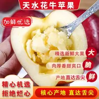 现摘甘肃天水花牛苹果新鲜水果整箱丑糖心当季红蛇粉面孕妇刮泥果