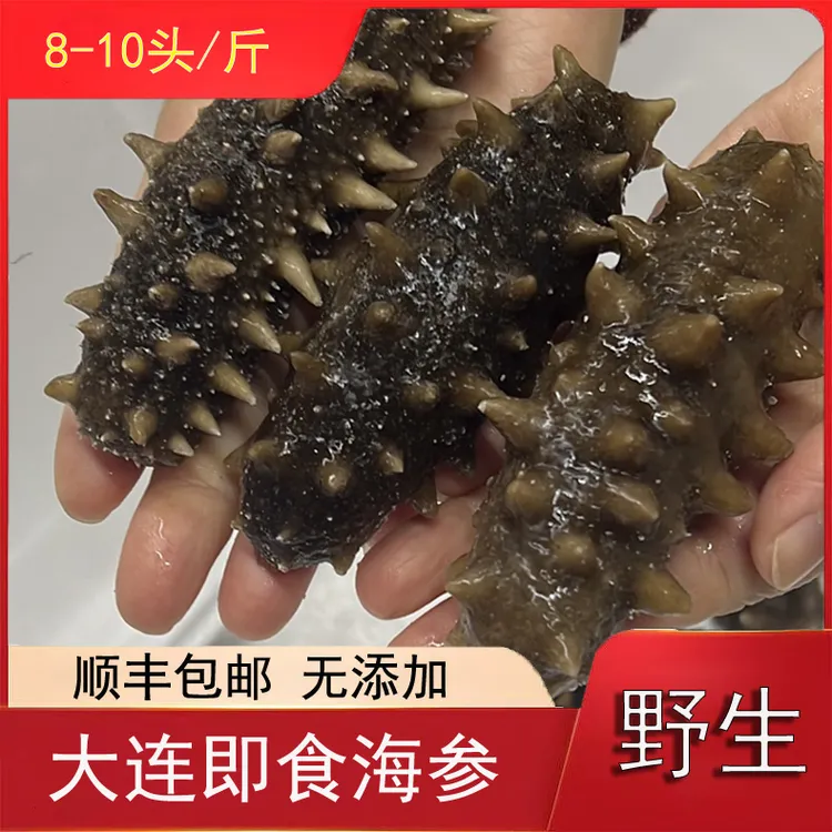 大连即食辽参（8~10头）/斤无添加顺丰包邮大连辽参大连辽刺参