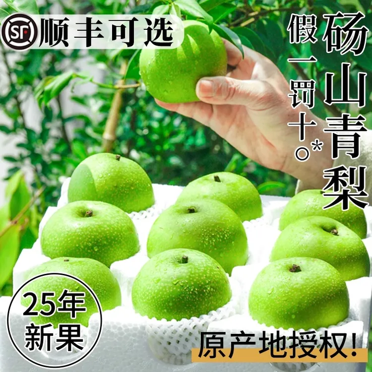 正宗砀山青梨蜜梨新鲜水果当应季整箱安徽现摘皇翠冠玉酥香雪梨子