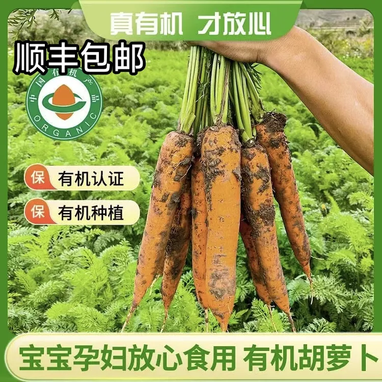 【顺丰包邮】内蒙古后窑子有机胡萝卜无农残带泥5斤2箱装