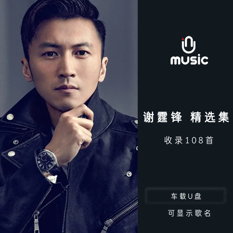 谢霆锋原唱歌曲合集精选U盘汽车载音乐优盘流行经典无损高音质mp3