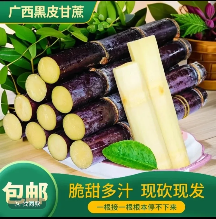 正宗广西黑皮甘蔗新鲜现砍中段脆甜多汁应季手撕紫皮直发产地