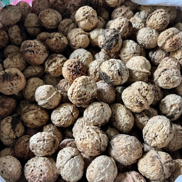 云南特产老树麻子薄皮核桃不漂白好吃的坚果零食
