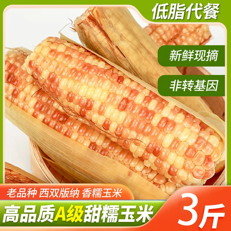 云南特产西双版纳香糯小玉米即食早餐新鲜真空小花糯玉米粘玉米棒