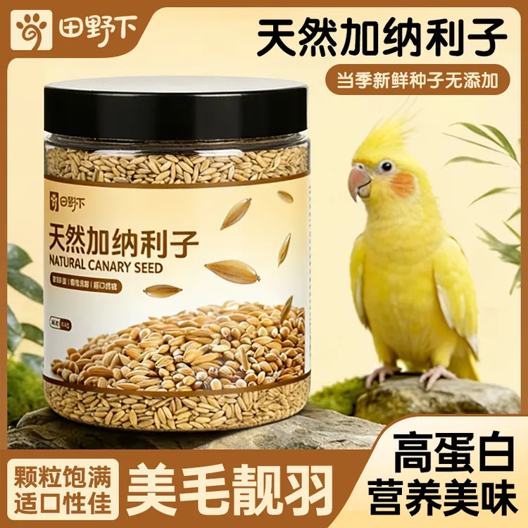 田野下【加纳利子】鹦鹉零食玄凤牡丹小虎皮鹦鹉磨喙进口金丝雀草籽商品图