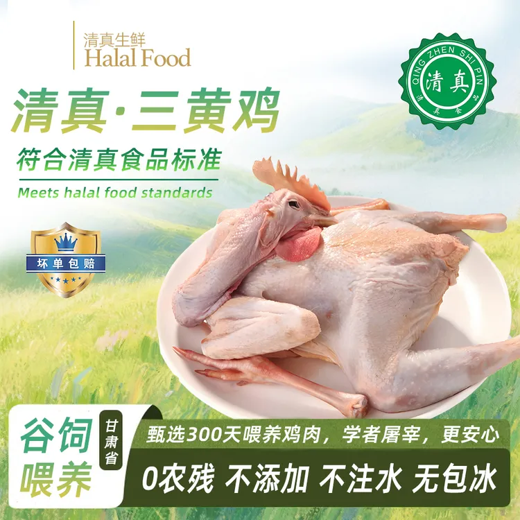 甘肃清真农家散养三黄鸡生鲜整只装鸡肉新鲜安全现宰草鸡