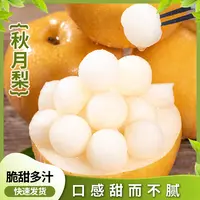 正宗秋月梨新鲜现摘现发脆甜多汁当季水果精品送礼果园现发