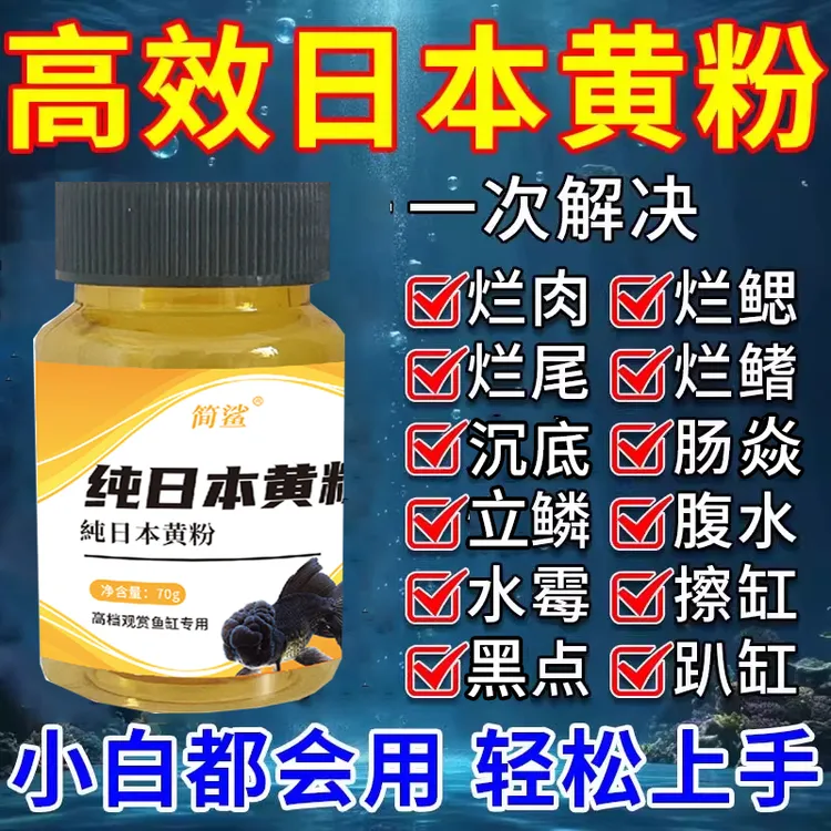 纯日本黄粉观赏鱼鱼池鱼缸水族箱适用烂身烂尾热带金鱼黑点可用粉