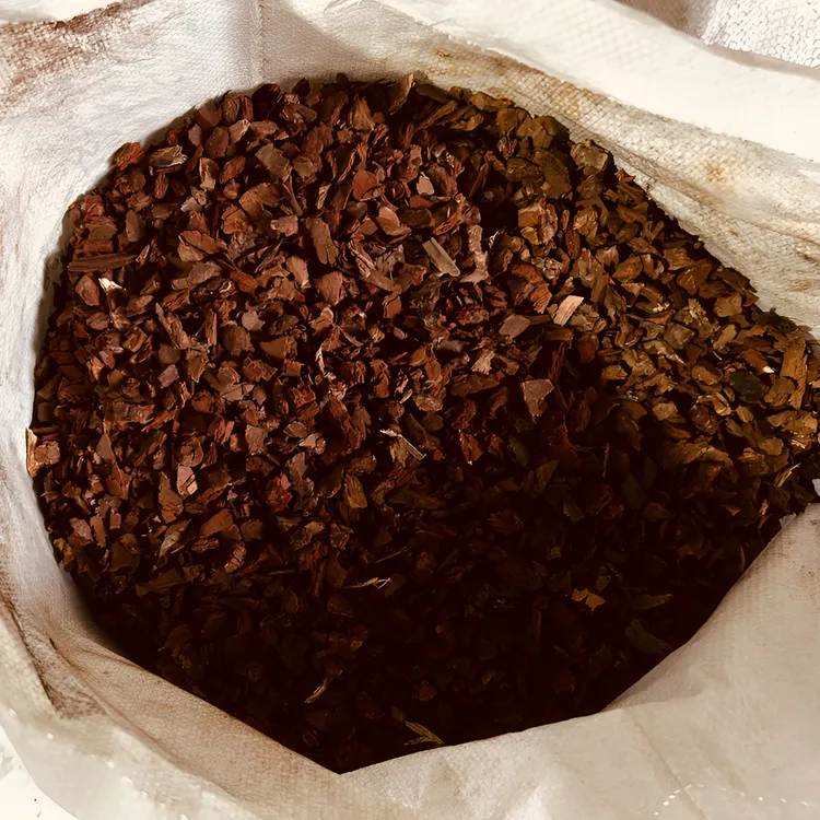 19升1-2cm松树皮松鳞兰科植物花卉园艺绿植通用
