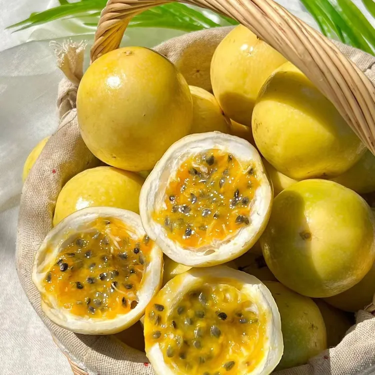 松意家钦蜜9号百香果