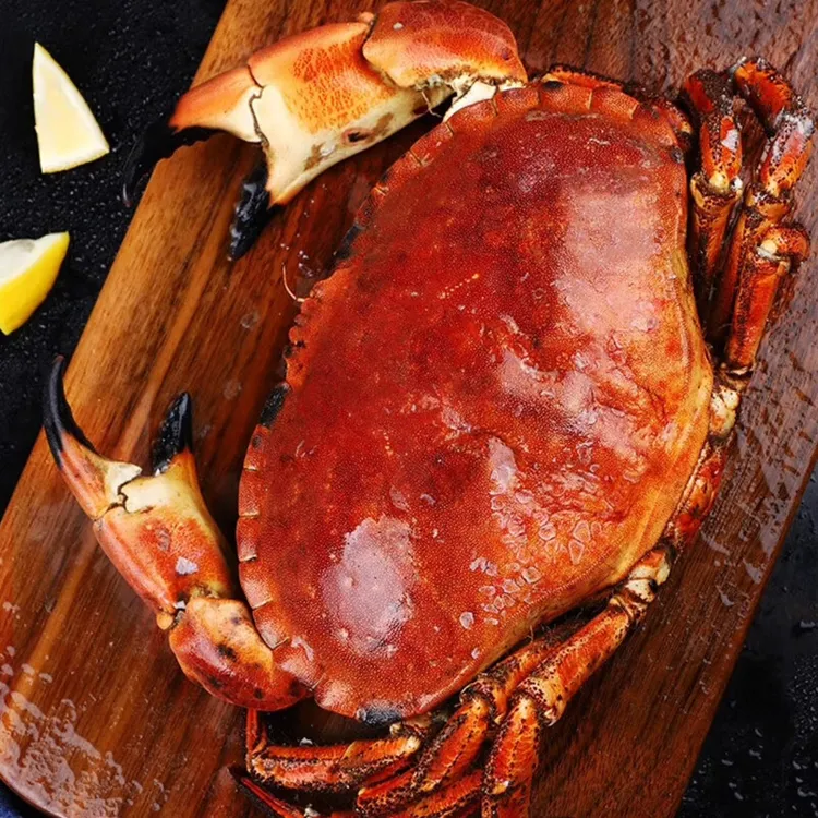 英格兰进口面包蟹鲜活熟冻黄道蟹600-800g/只 大面包蟹多膏多黄