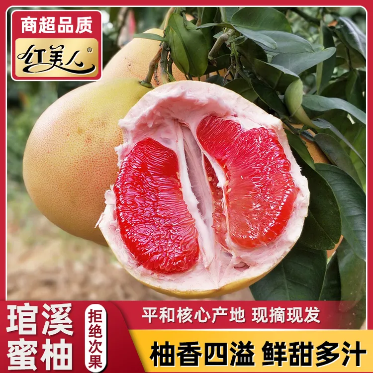 【琯溪蜜柚】平和红蜜柚新鲜采摘柚子香甜爽口多汁当季孕妇水果