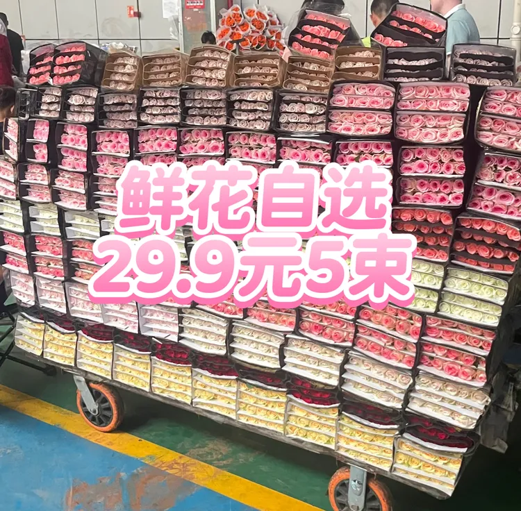 多种鲜花任选5件云南基地直发小仙女花束插花鲜切花包邮