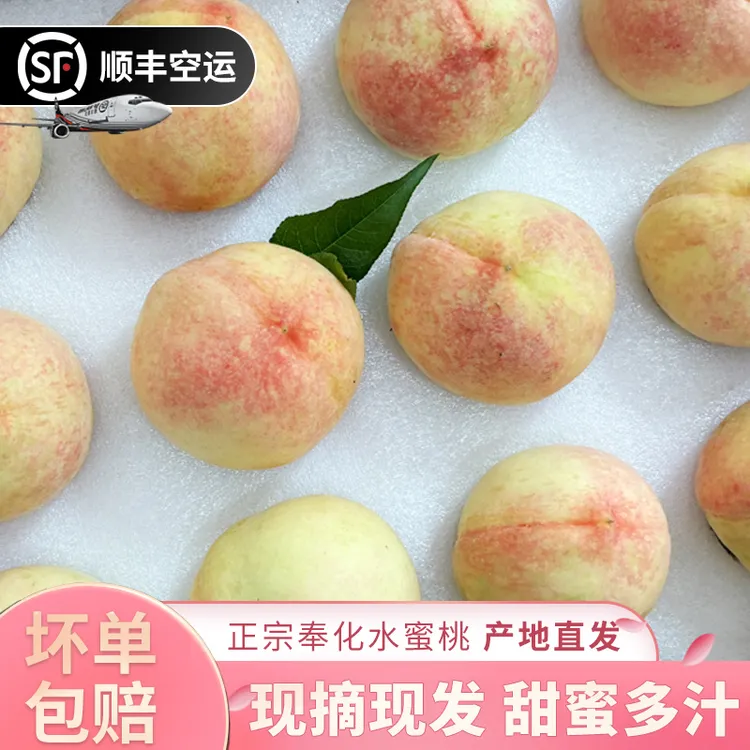 【顺丰空运】宁波奉化湖景雨露品种水蜜桃 12个装 鲜甜 细腻
