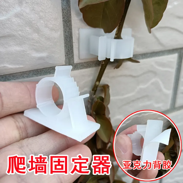 爬墙固定器藤蔓挂墙牵引辅助黏贴卡扣夹免打孔室内外墙上爬藤粘扣