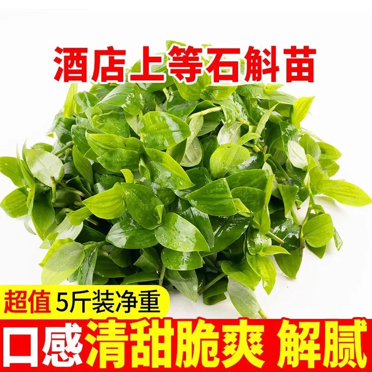 新鲜石斛苗食用4斤煲汤清炒现摘现发养生蔬菜农家自种酒店特色菜