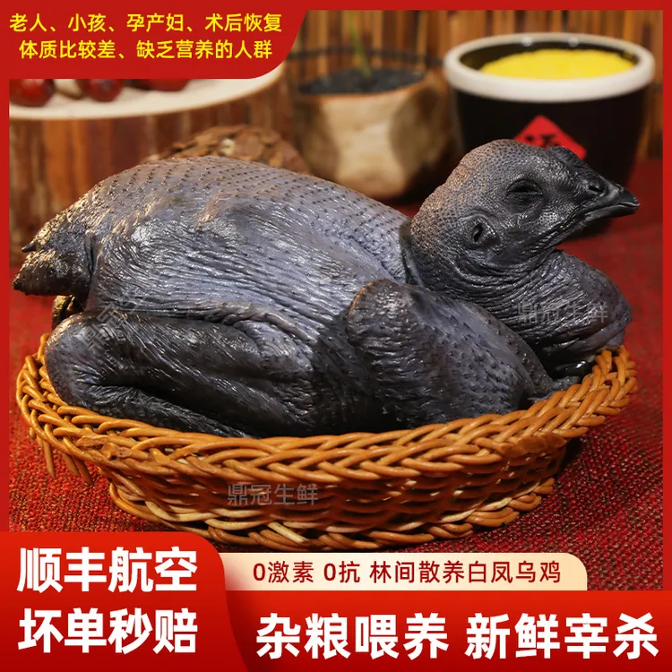 拍一发三只 散养白凤乌鸡 乌骨鸡 当天现杀 顺丰冷链配送到家！