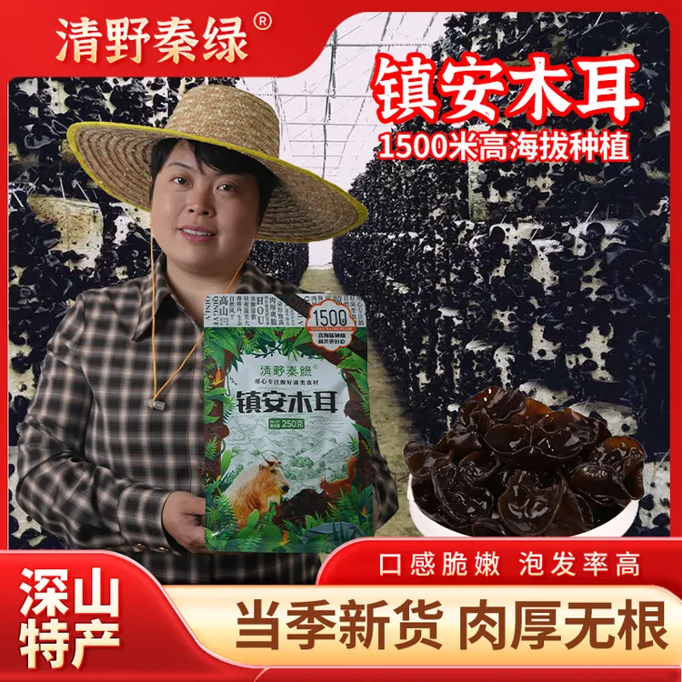 秦岭海拔1500米高山镇安干木耳250g/袋