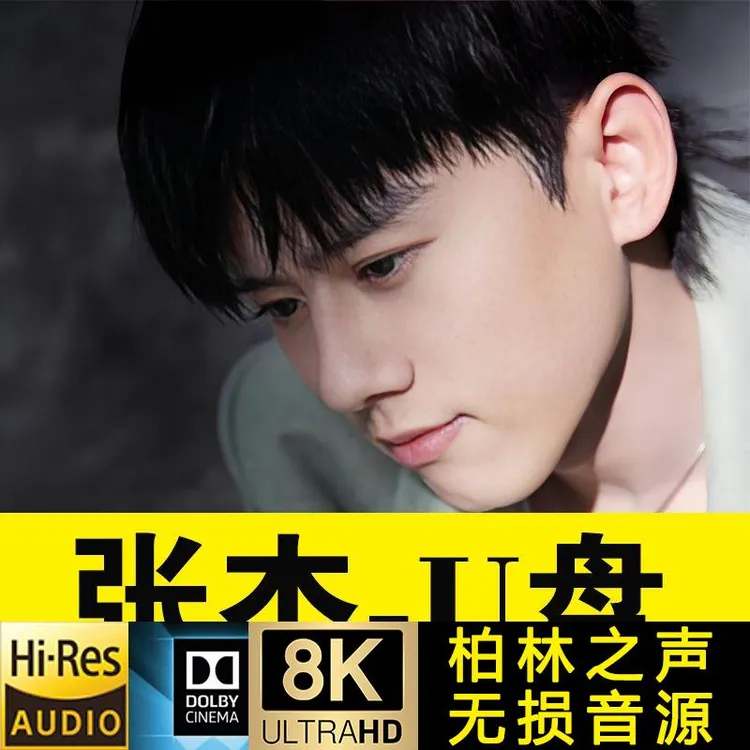 张杰U盘专辑歌曲精选收录mp3高音质怀旧车载U盘华语 流行经典