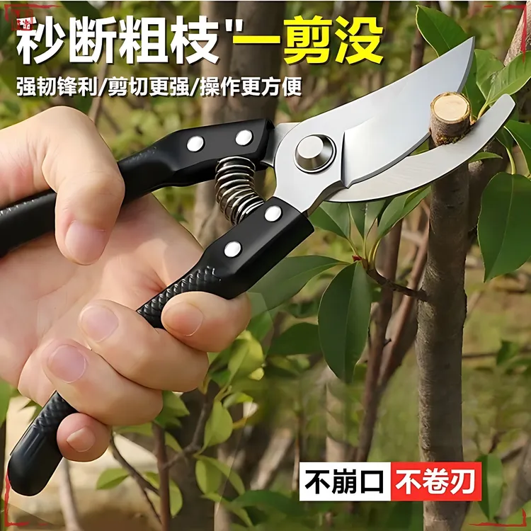 【新疆包邮】园艺剪刀果树修枝剪园林粗枝剪树枝用的剪刀花艺修枝剪