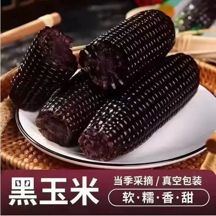 【试吃两根】东北黑糯产地直发黑玉米代餐低脂甜糯玉米10支5斤