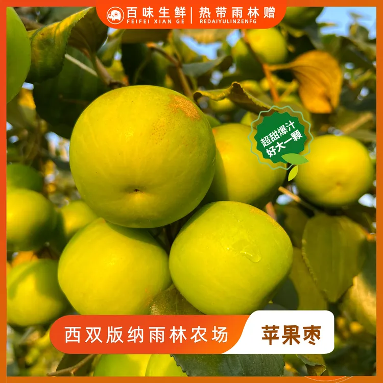 西双版纳糖斑苹果枣好吃水分充足甜度高香气浓冬枣酥脆-ZY