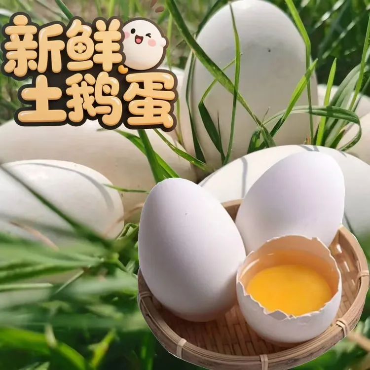 【坏蛋包赔20枚】正宗农家散养新鲜土鹅蛋现捡现发孕妇宝宝适用