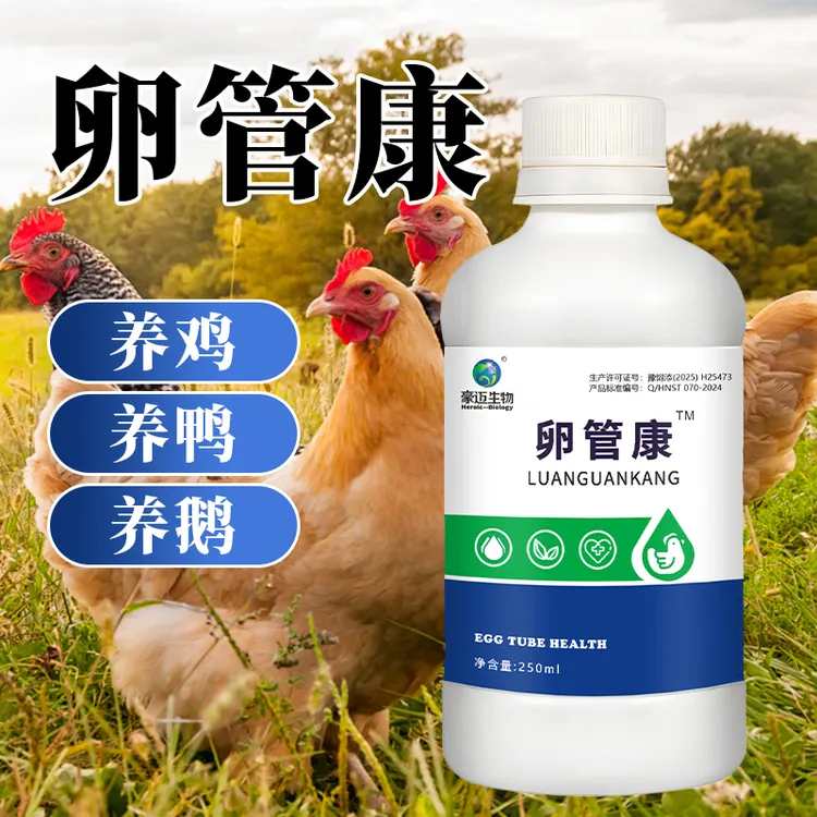 卵管康鸽子芦丁鸡蛋产蛋康蛋鸡鸭鹅禽用砂皮蛋软壳蛋饲料添加剂