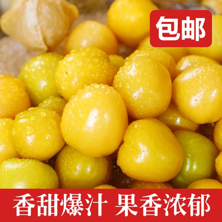 黑龙江头茬姑娘果灯笼果新鲜香甜水果现摘现发t