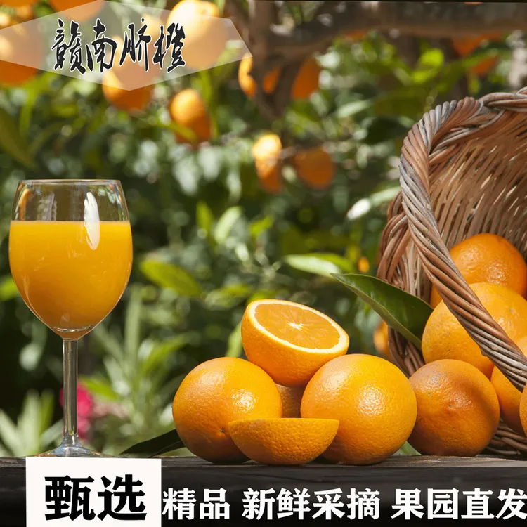 精选20斤赣南脐橙品质大果新鲜采摘江西果园直发鲜甜多汁手剥橙子