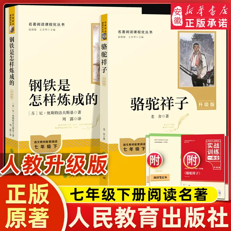 人教版钢铁是怎样炼成的和骆驼祥子升级版附考点手册朝花夕拾西游