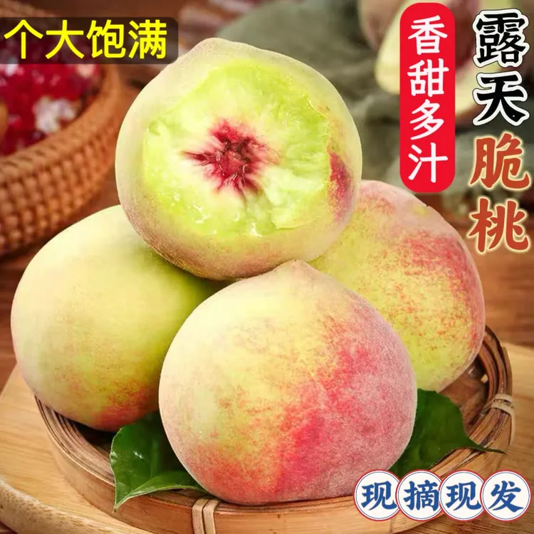 山东蒙阴金秋红密高山大秋桃蜜桃脆甜可口产地直发软脆两吃