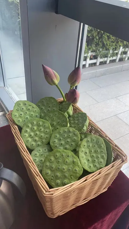 湖中老马家新鲜嫩莲蓬微山湖农家水果莲蓬清甜脆嫩当季现摘即食