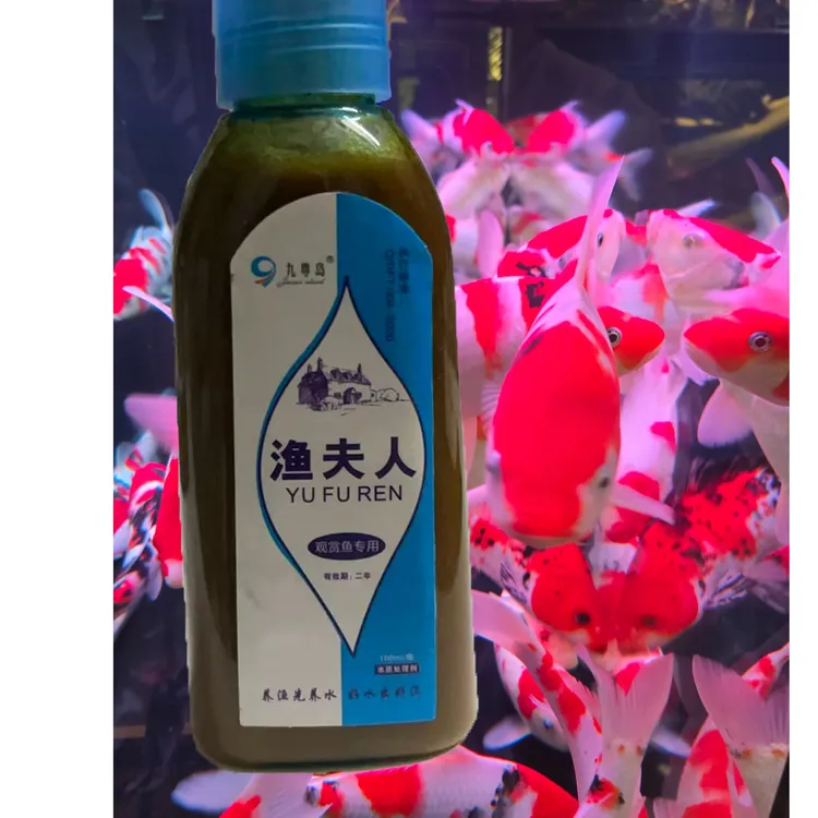 九尊岛水中贵族 渔夫人 鱼体内寄 提高活力 提高食欲 