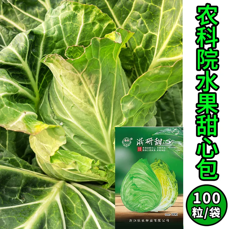 浙江省农科院浙研甜心水果甘蓝蔬菜种子 卷心菜包菜种子