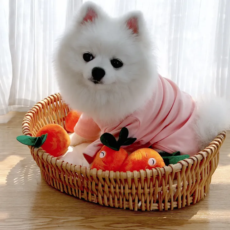 宠物狗狗毛绒发声玩具bb叫宠物猫咪玩具胡萝卜毛绒玩具宠物玩具