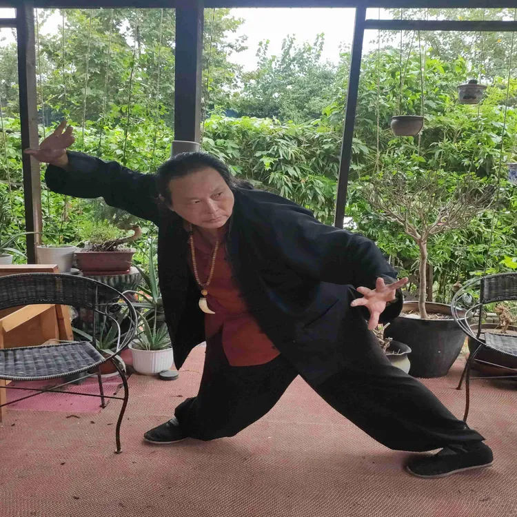 大成拳整体发力14