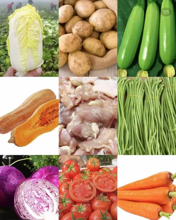 【狗狗明信片】【蔬菜】各种蔬菜 营养又健康 宠物粮