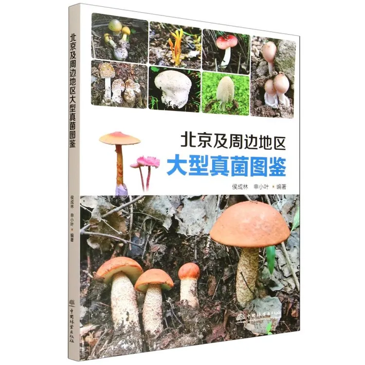 北京及周边地区大型真菌图鉴 &3203