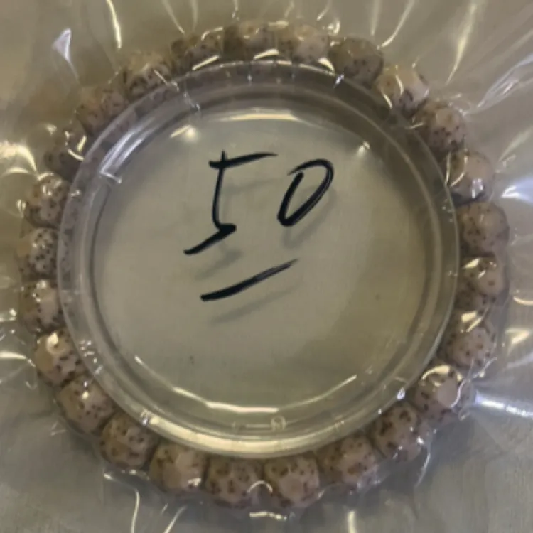 铁合金木质手链 一物一拍无相星月9mm，细星小留白手串手饰饰品