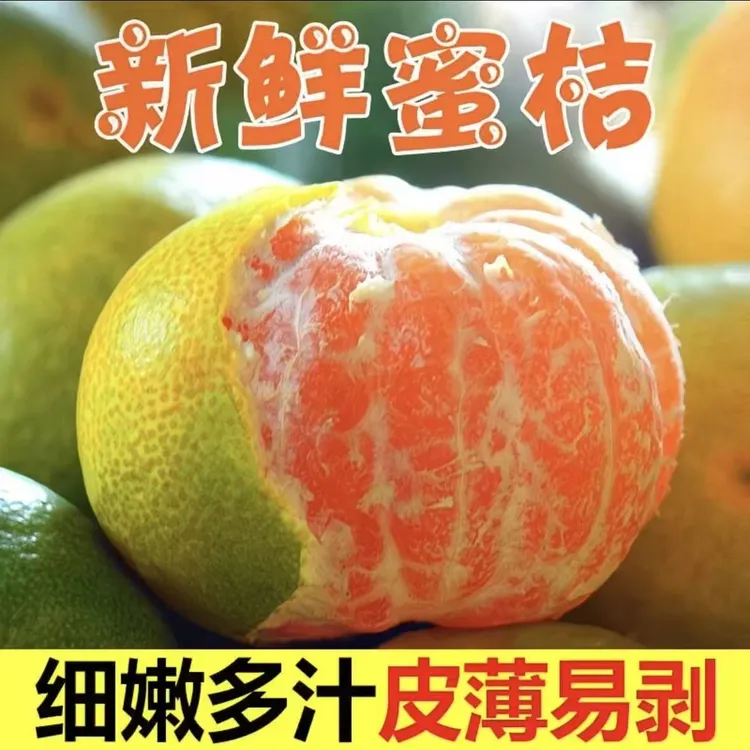 湖北现摘高山青皮蜜桔无籽薄皮酸甜爽口应季水果