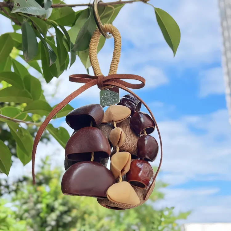 天然果实壳手摇挂铃包挂件手工diy材料包音疗愈活动伴手果壳挂件