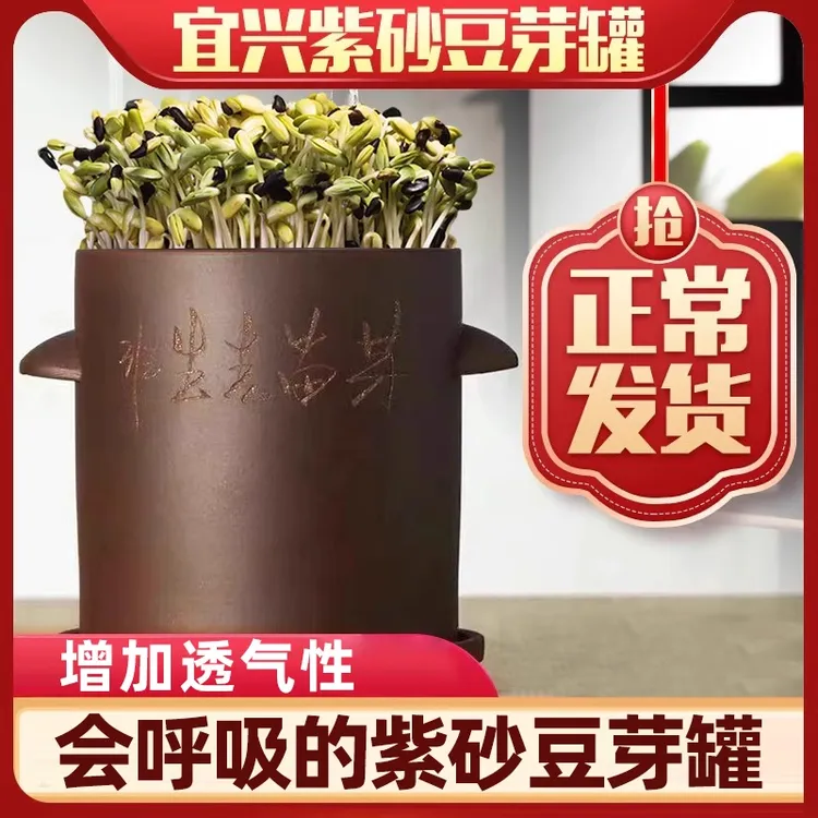 紫砂豆芽发芽罐绿豆芽育苗专用超大室内无土种菜芽苗菜种子食品级