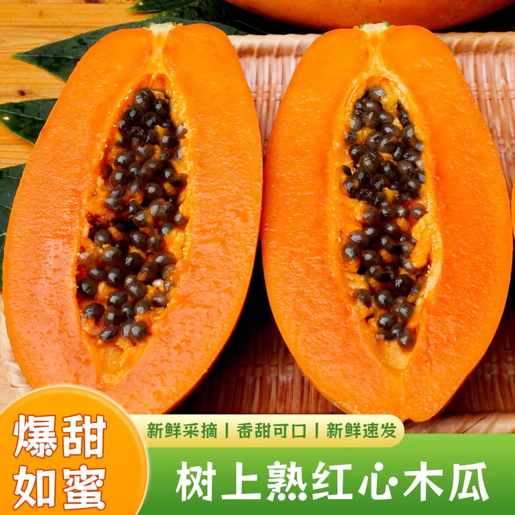 【树上熟木瓜爆甜】雷州冰糖红心牛奶木瓜水果香甜皮薄爆汁现摘
