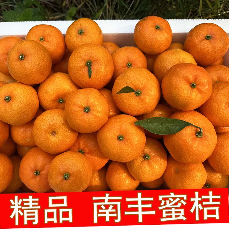 现摘正宗南丰蜜桔蜜广早熟新鲜香甜爆汁应季水果产地直发