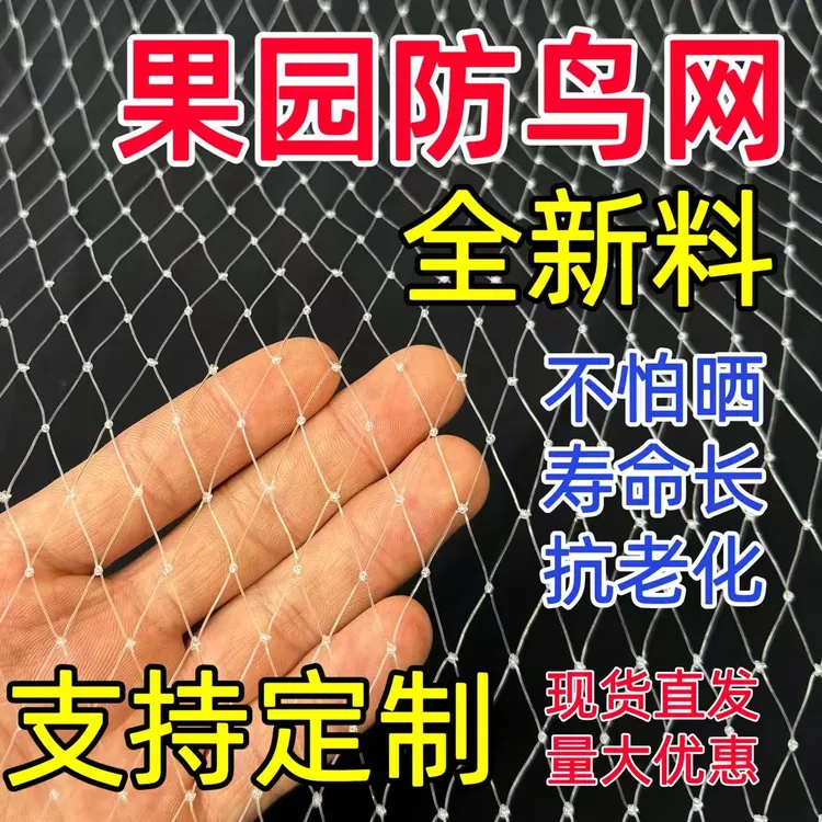 尼龙防鸟网大棚果树樱桃葡萄梨树蓝莓果园防鸟用网养殖场鱼塘天网商品图