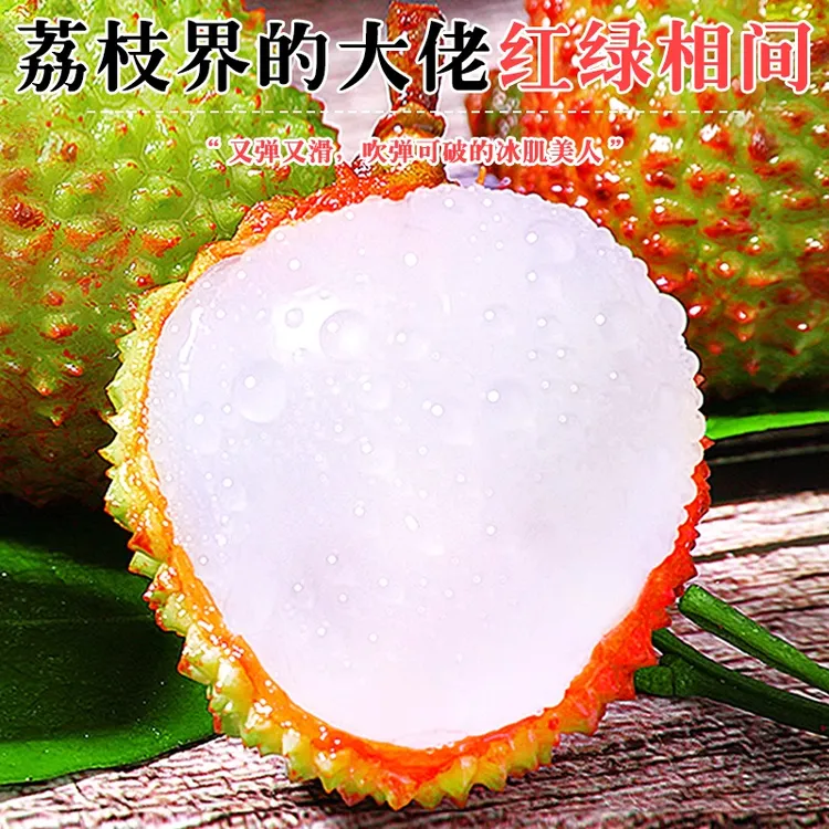 【冷链配送】多仓发货茂名高州妃子笑荔枝老树现摘爆甜多4.5斤【旭】