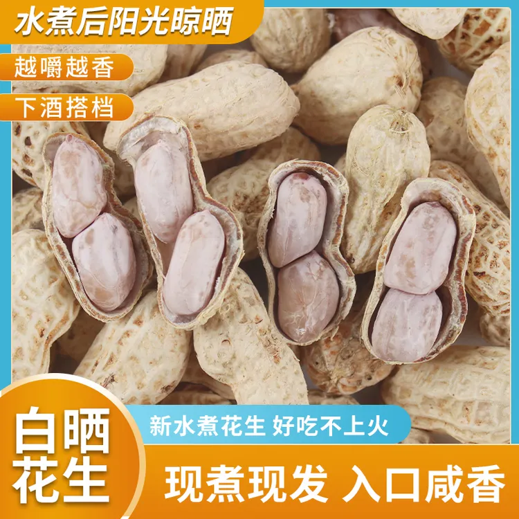 25年新货正宗闽西龙岩特产水煮日晒花生五香蒜香口味解馋下酒零食